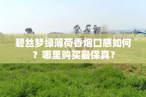 碧丝梦绿薄荷香烟口感如何？哪里购买最保真？